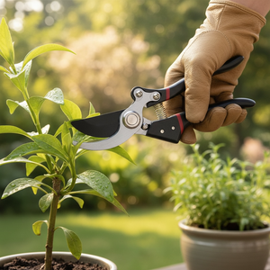 Handy Pruner